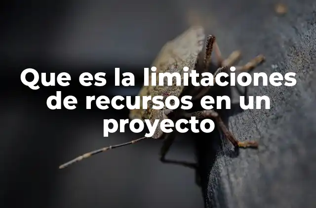 Que es la Limitaciones de Recursos en un Proyecto