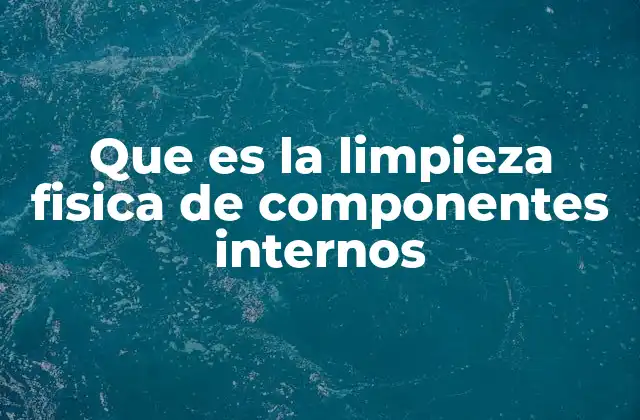 Que es la Limpieza Fisica de Componentes Internos