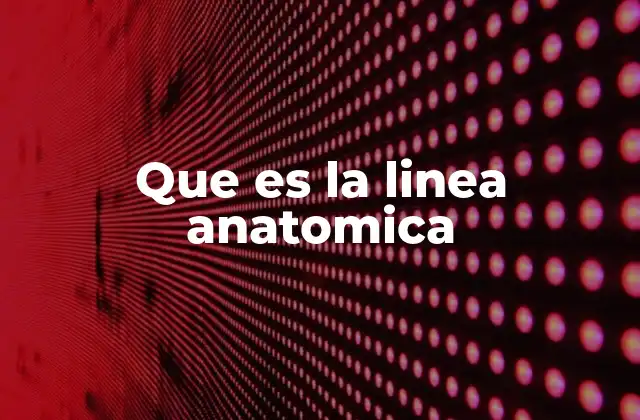 Que es la Linea Anatomica