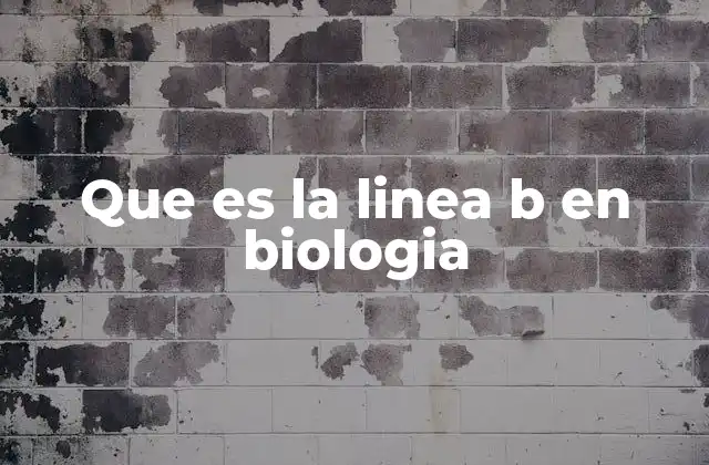 Que es la Linea B en Biologia