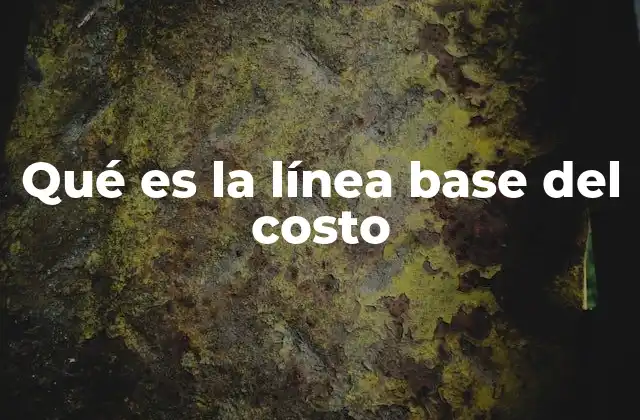 Qué es la Línea Base Del Costo
