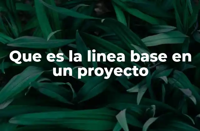 Que es la Linea Base en un Proyecto