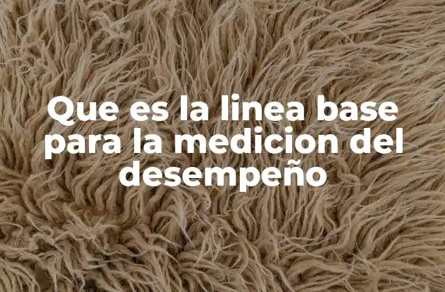 Que es la Linea Base para la Medicion Del Desempeño
