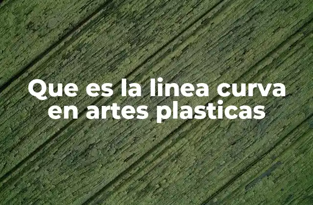Que es la Linea Curva en Artes Plasticas