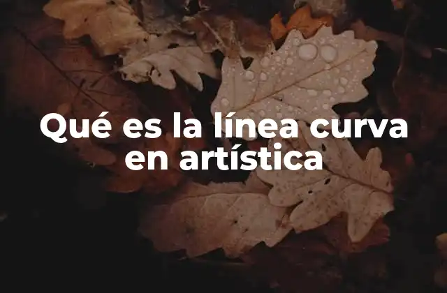 Qué es la Línea Curva en Artística