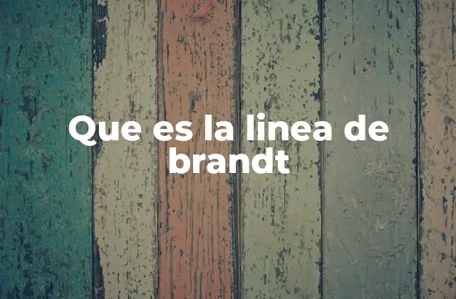 El contexto histórico de la Línea de Brandt