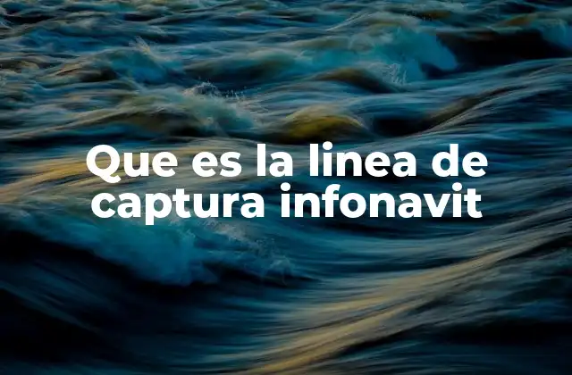 Que es la Linea de Captura Infonavit