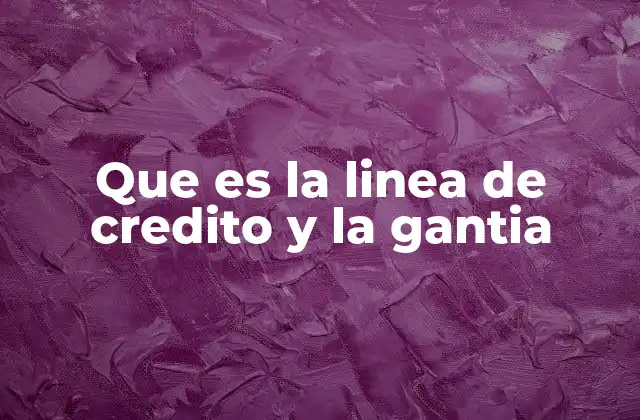 Que es la Linea de Credito y la Gantia