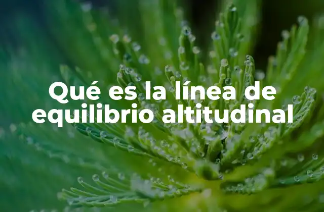 La importancia de la línea de equilibrio en el estudio del clima