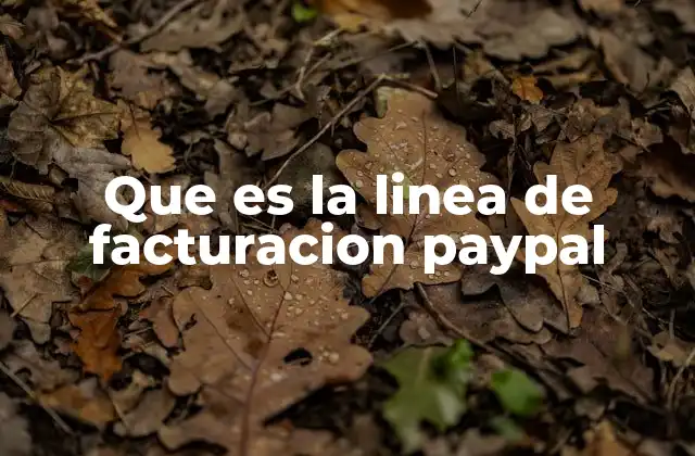 Que es la Linea de Facturacion Paypal