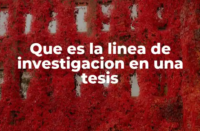 Que es la Linea de Investigacion en una Tesis
