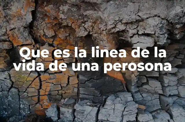 Que es la Linea de la Vida de una Perosona 2 La importancia de la línea de la vida en la lectura de manos