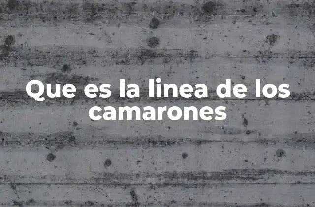 Que es la Linea de los Camarones
