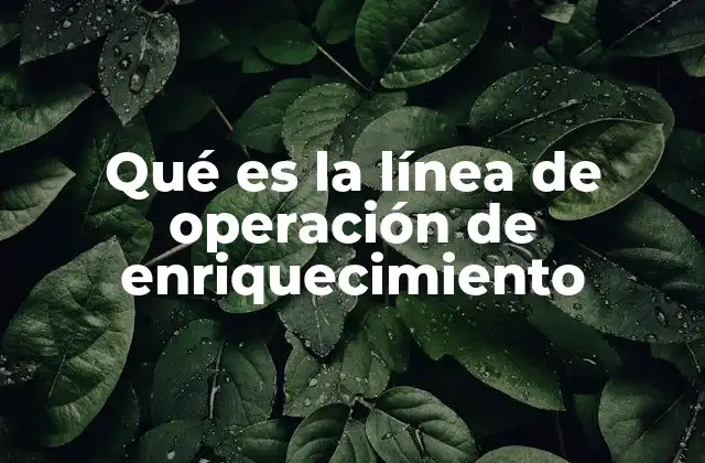 Qué es la Línea de Operación de Enriquecimiento 2 El enriquecimiento del uranio en el contexto energético