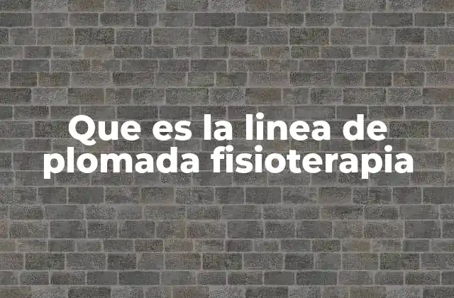 Que es la Linea de Plomada Fisioterapia