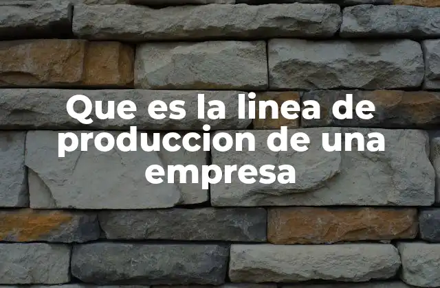 Que es la Linea de Produccion de una Empresa