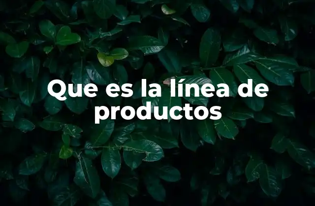Que es la Línea de Productos