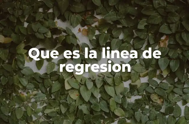 Que es la Linea de Regresion