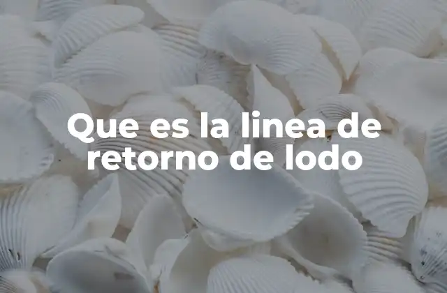 Que es la Linea de Retorno de Lodo