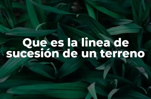 Que es la Linea de Sucesión de un Terreno