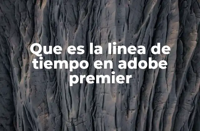 Que es la Linea de Tiempo en Adobe Premier