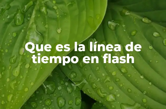 Que es la Línea de Tiempo en Flash