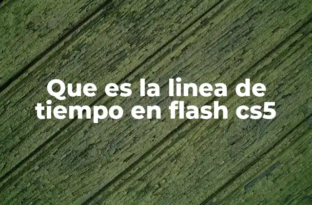 Que es la Linea de Tiempo en Flash Cs5