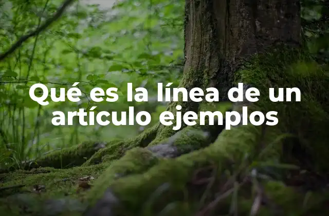 Qué es la Línea de un Artículo Ejemplos