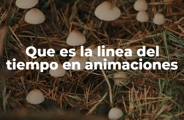 Que es la Linea Del Tiempo en Animaciones