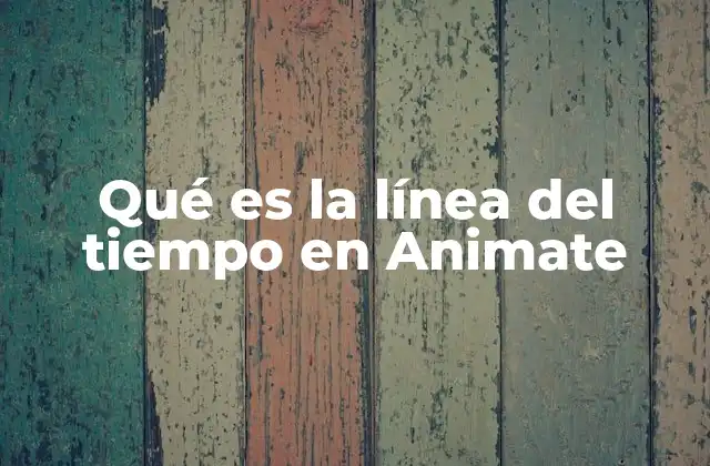 Qué es la Línea Del Tiempo en Animate