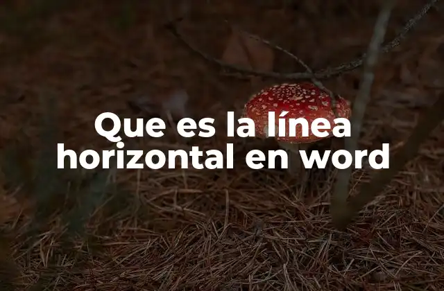Que es la Línea Horizontal en Word