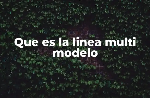 Que es la Linea Multi Modelo