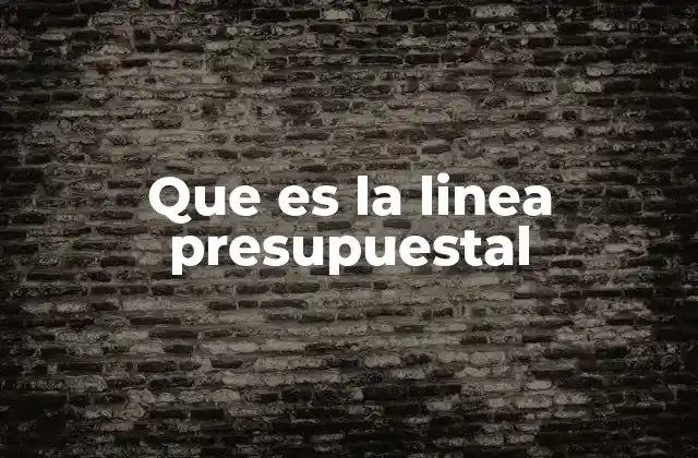 Que es la Linea Presupuestal