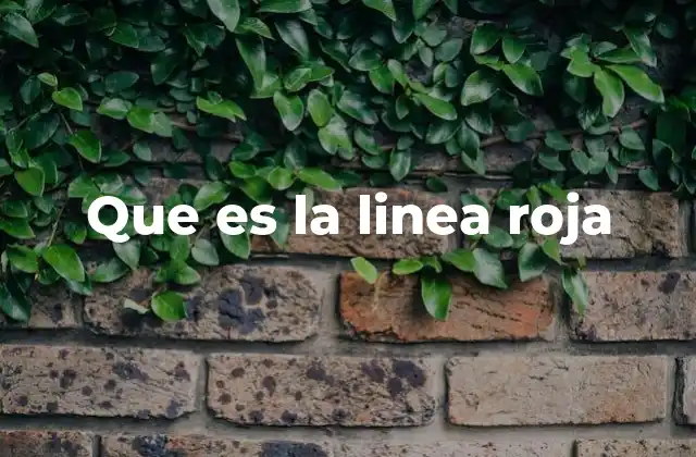 Que es la Linea Roja 2 El concepto de límite en distintos contextos