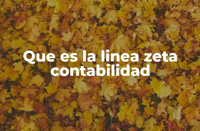 Que es la Linea Zeta Contabilidad