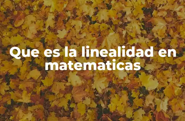 Que es la Linealidad en Matematicas