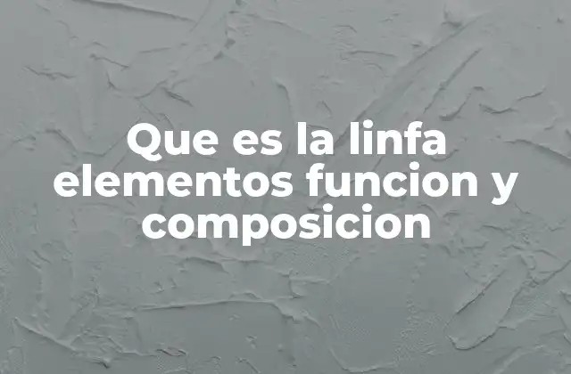 Que es la Linfa Elementos Funcion y Composicion