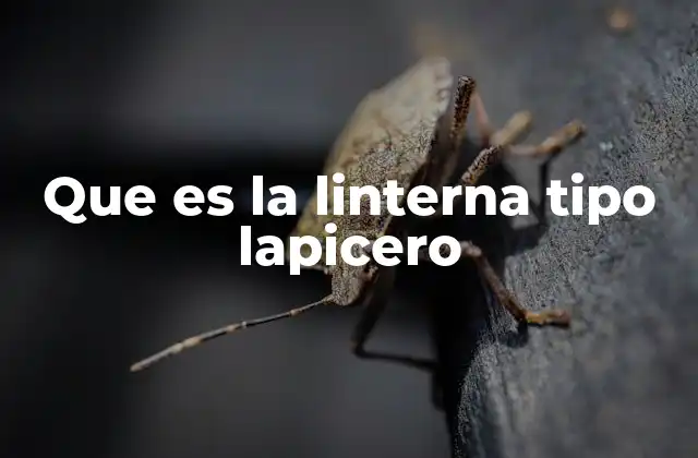 Que es la Linterna Tipo Lapicero