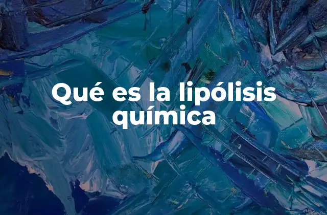 Qué es la Lipólisis Química 2 Procesos químicos que desencadenan la ruptura de los lípidos