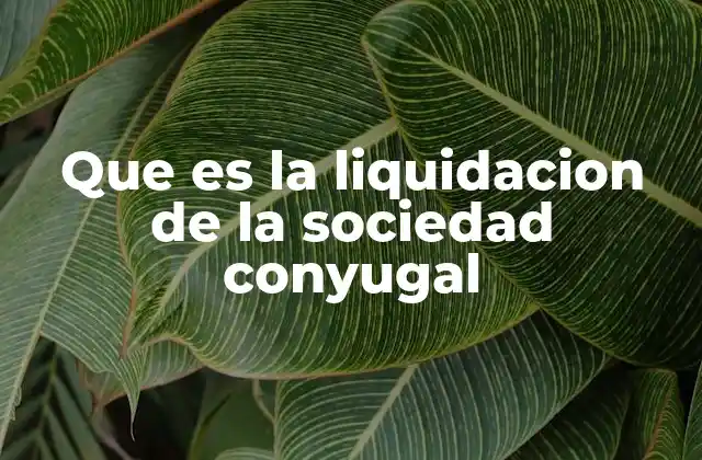 Que es la Liquidacion de la Sociedad Conyugal