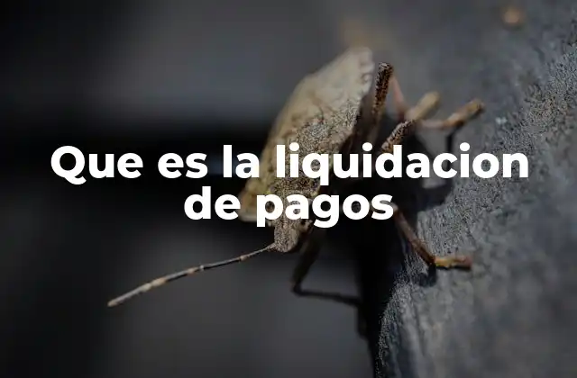 Que es la Liquidacion de Pagos
