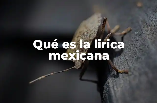 Qué es la Lirica Mexicana