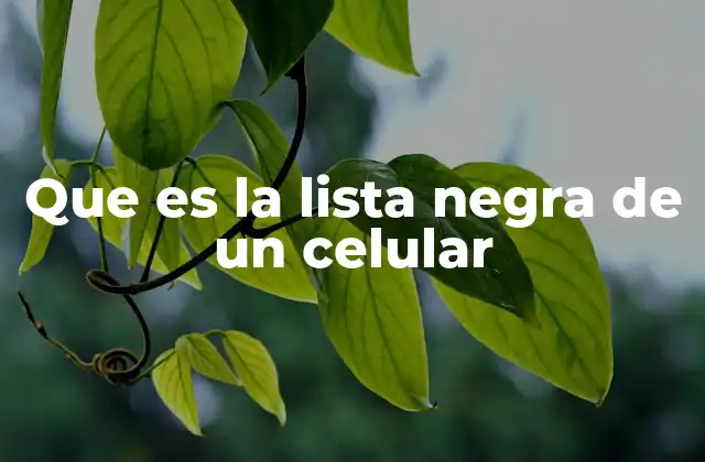 Que es la Lista Negra de un Celular