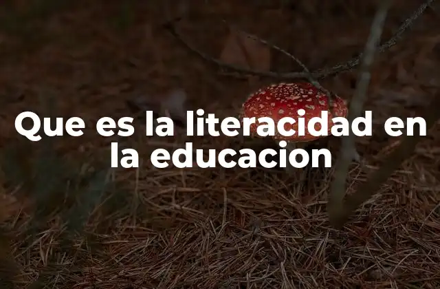 Que es la Literacidad en la Educacion