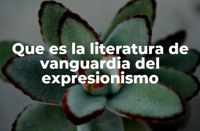 Que es la Literatura de Vanguardia Del Expresionismo