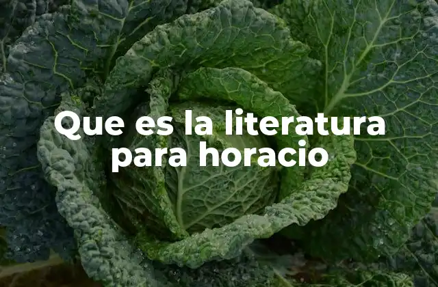 Que es la Literatura para Horacio 2 La función moral y educativa de las letras en la Antigüedad