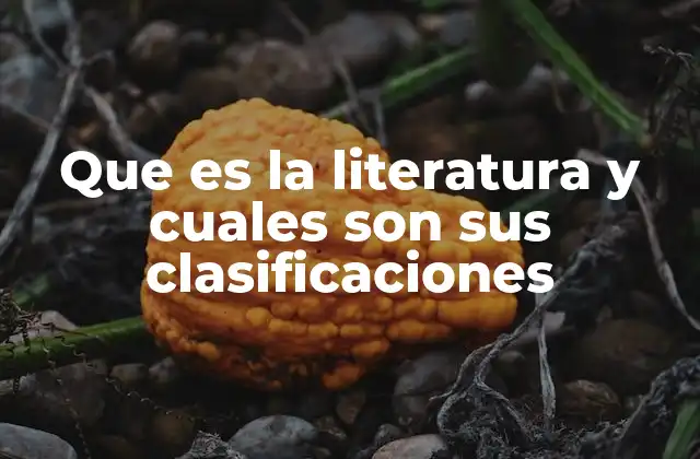 Que es la Literatura y Cuales Son Sus Clasificaciones