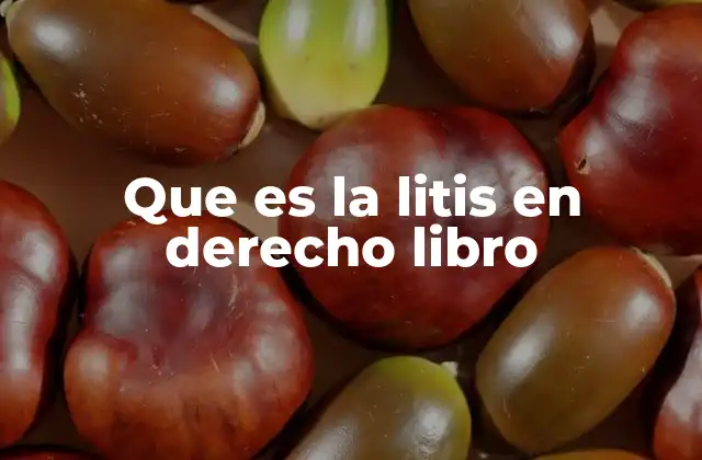 Que es la Litis en Derecho Libro