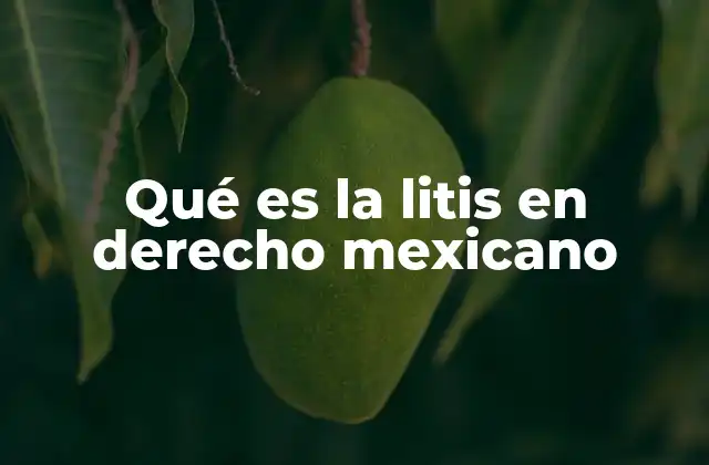 Qué es la Litis en Derecho Mexicano