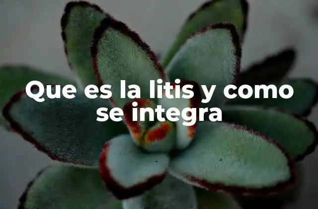 Que es la Litis y como Se Integra
